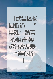 武昌区杨园街道：“特殊”踏青心相连 架起包容友爱“连心桥”
