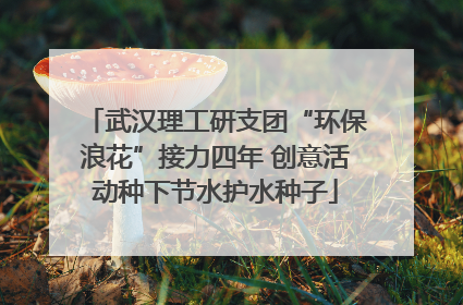 武汉理工研支团“环保浪花”接力四年 创意活动种下节水护水种子