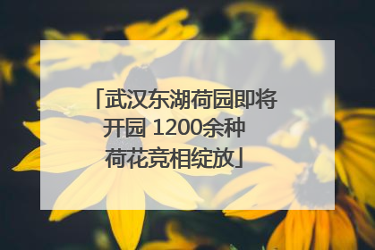 武汉东湖荷园即将开园 1200余种荷花竞相绽放