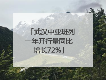 武汉中亚班列一年开行量同比增长72%