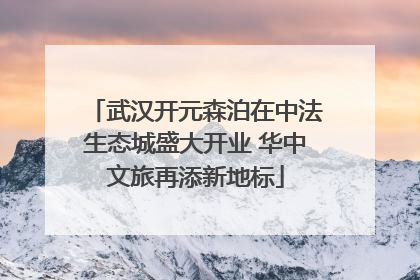 武汉开元森泊在中法生态城盛大开业 华中文旅再添新地标