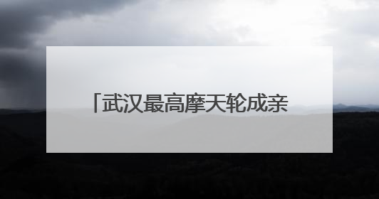 武汉最高摩天轮成亲子打卡新地标，半天客流突破1.5万人次