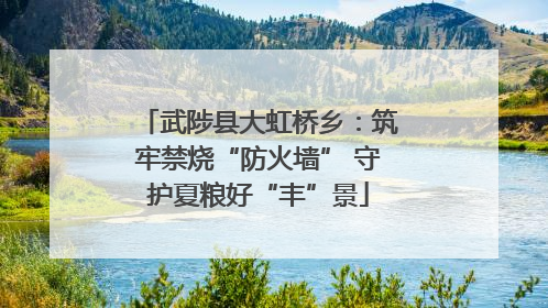武陟县大虹桥乡：筑牢禁烧“防火墙” 守护夏粮好“丰”景