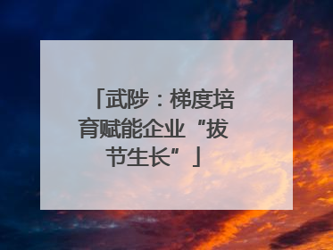 武陟：梯度培育赋能企业“拔节生长”