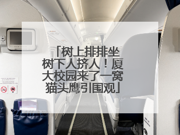 树上排排坐 树下人挤人！厦大校园来了一窝猫头鹰引围观