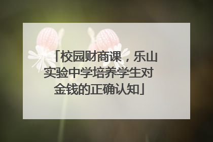 校园财商课，乐山实验中学培养学生对金钱的正确认知