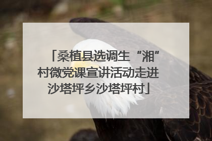 桑植县选调生“湘”村微党课宣讲活动走进沙塔坪乡沙塔坪村