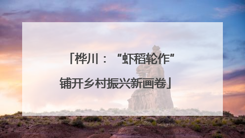 桦川：“虾稻轮作”铺开乡村振兴新画卷