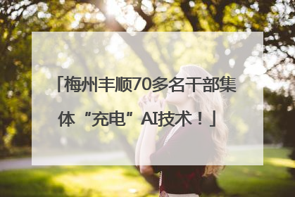 梅州丰顺70多名干部集体“充电”AI技术！