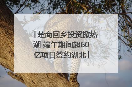 楚商回乡投资掀热潮 端午期间超60亿项目签约湖北
