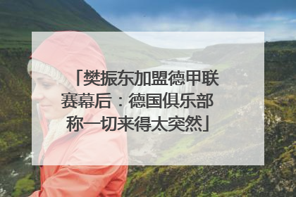 樊振东加盟德甲联赛幕后：德国俱乐部称一切来得太突然