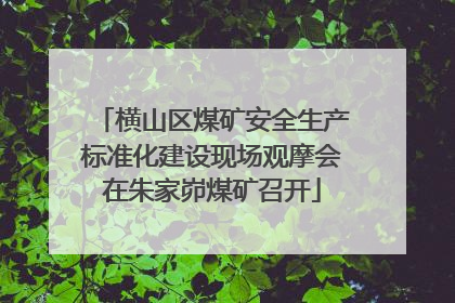 横山区煤矿安全生产标准化建设现场观摩会在朱家峁煤矿召开