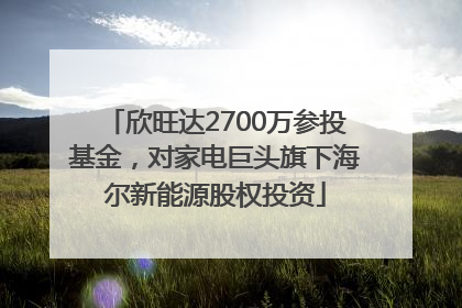 欣旺达2700万参投基金，对家电巨头旗下海尔新能源股权投资