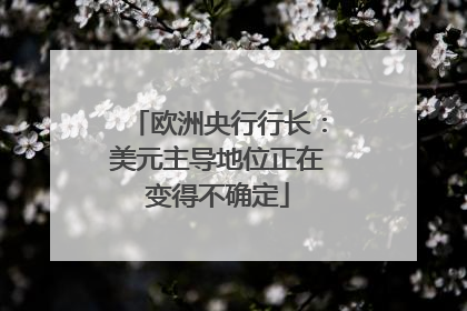 欧洲央行行长：美元主导地位正在变得不确定