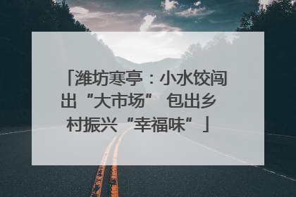 潍坊寒亭：小水饺闯出“大市场” 包出乡村振兴“幸福味”
