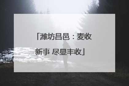 潍坊昌邑：麦收新事 尽显丰收