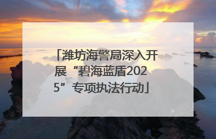 潍坊海警局深入开展“碧海蓝盾2025”专项执法行动