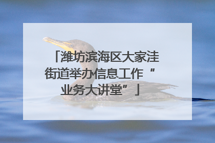 潍坊滨海区大家洼街道举办信息工作“业务大讲堂”