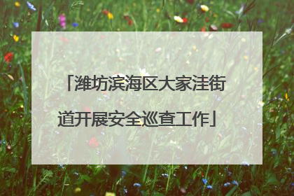 潍坊滨海区大家洼街道开展安全巡查工作