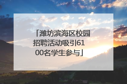 潍坊滨海区校园招聘活动吸引6100名学生参与