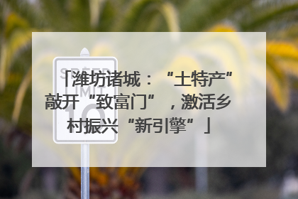 潍坊诸城：“土特产”敲开“致富门”，激活乡村振兴“新引擎”