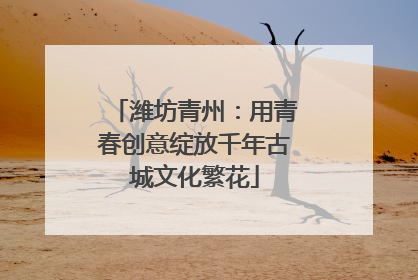 潍坊青州：用青春创意绽放千年古城文化繁花