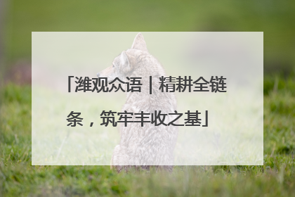 潍观众语｜精耕全链条，筑牢丰收之基