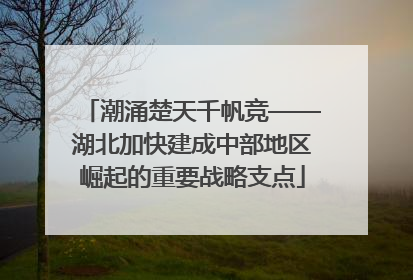 潮涌楚天千帆竞——湖北加快建成中部地区崛起的重要战略支点