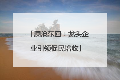 澜沧东回：龙头企业引领促民增收