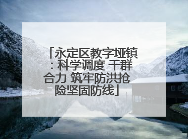 永定区教字垭镇：科学调度 干群合力 筑牢防洪抢险坚固防线