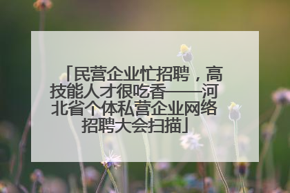 民营企业忙招聘，高技能人才很吃香——河北省个体私营企业网络招聘大会扫描