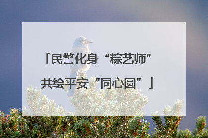 民警化身“粽艺师” 共绘平安“同心圆”