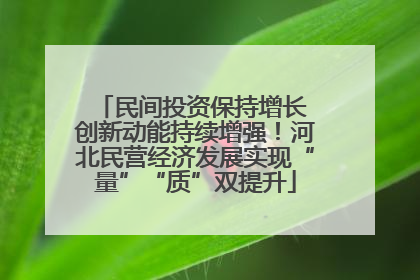 民间投资保持增长 创新动能持续增强！河北民营经济发展实现“量”“质”双提升