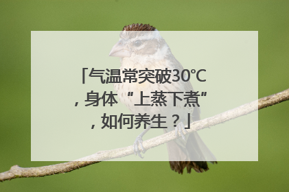 气温常突破30℃，身体“上蒸下煮”，如何养生？