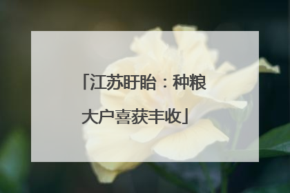江苏盱眙：种粮大户喜获丰收