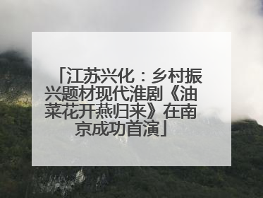 江苏兴化：乡村振兴题材现代淮剧《油菜花开燕归来》在南京成功首演