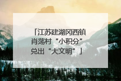 江苏建湖冈西镇肖荡村“小积分”兑出“大文明”