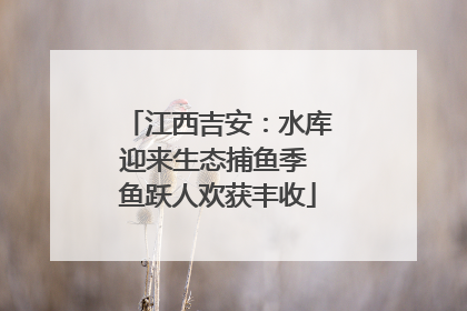 江西吉安：水库迎来生态捕鱼季 鱼跃人欢获丰收