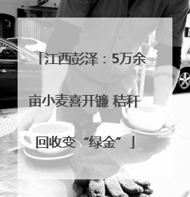 江西彭泽：5万余亩小麦喜开镰 秸秆回收变“绿金”