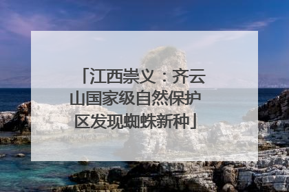 江西崇义：齐云山国家级自然保护区发现蜘蛛新种