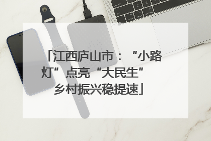 江西庐山市：“小路灯”点亮“大民生” 乡村振兴稳提速