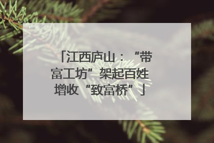 江西庐山：“带富工坊”架起百姓增收“致富桥”