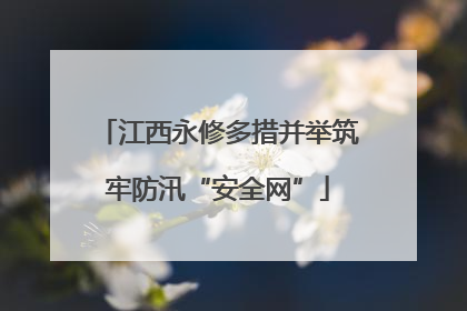 江西永修多措并举筑牢防汛“安全网”