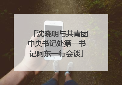 沈晓明与共青团中央书记处第一书记阿东一行会谈