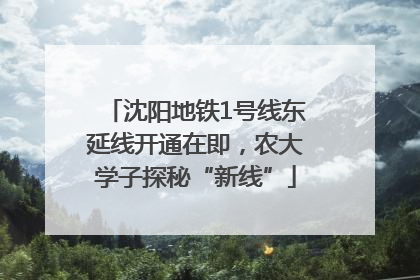 沈阳地铁1号线东延线开通在即，农大学子探秘“新线”