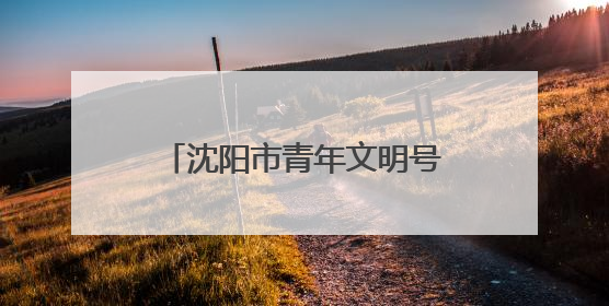 沈阳市青年文明号开放日活动举办