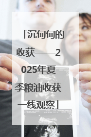 沉甸甸的收获——2025年夏季粮油收获一线观察
