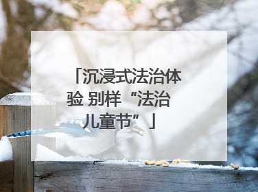 沉浸式法治体验 别样“法治儿童节”