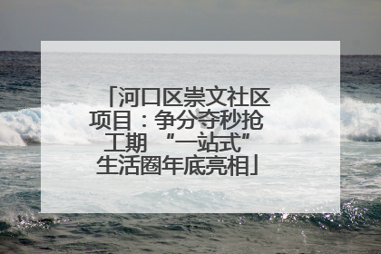 河口区崇文社区项目：争分夺秒抢工期 “一站式”生活圈年底亮相