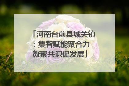 河南台前县城关镇：集智赋能聚合力 凝聚共识促发展